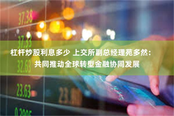 杠杆炒股利息多少 上交所副总经理苑多然：    共同推动全球转型金融协同发展